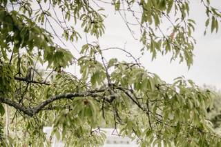 Matt Trott Photography - 7