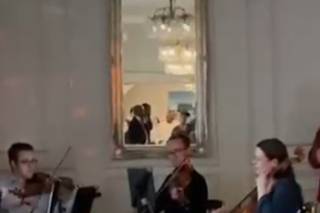 Ebor String Quartet - 5