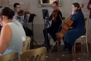 Ebor String Quartet - 7