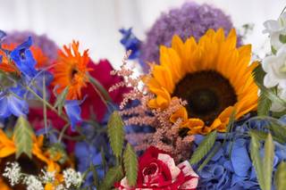 Harlequin Florals - 13