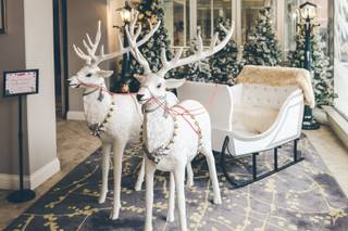 Stoke by Nayland Resort - 12