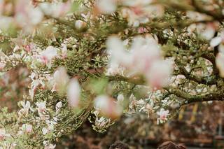 AB Photo - 7