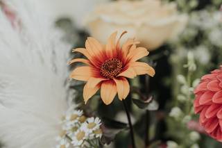 Colonnade Florist - 7