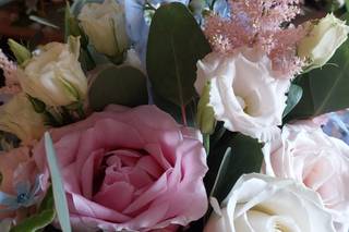 Beautiful Blooms - 32