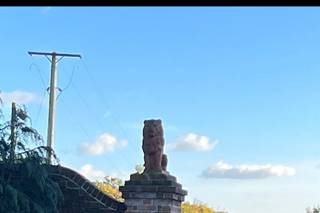 C Taylor's Floristry - 16