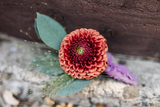 Vanilla Ruffles Floral Design - 1