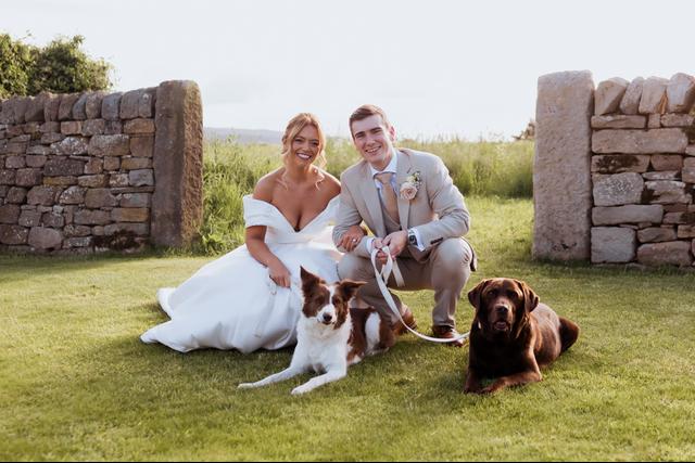 Chuck Tails Dog Wedding Chaperone - 1