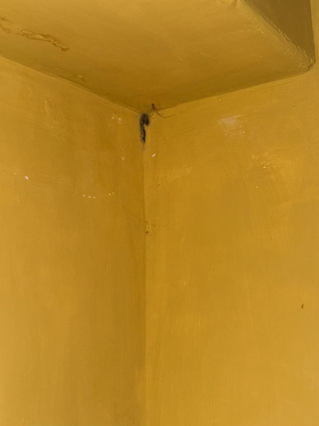 Shortflatt Tower - 2