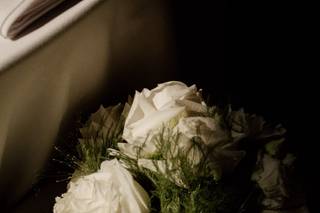 Lily Cora Flowers - 9