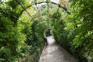 Thorpe Garden - Cripps & Co - 6