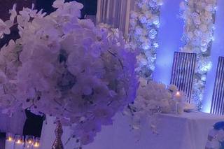 Extreme Wedding Events - 5