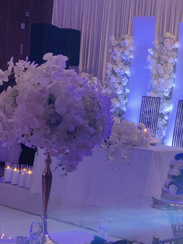 Extreme Wedding Events - 2