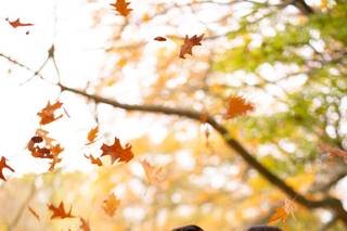 Amit Champaneria Photography - 4