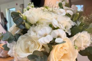 Flowers by Holly Tree - 14