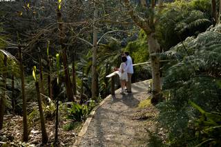 Tremenheere Sculpture Gardens - 3