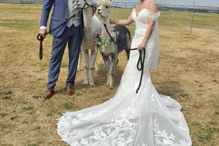 Heaton House Farm Wedding Venue - 12