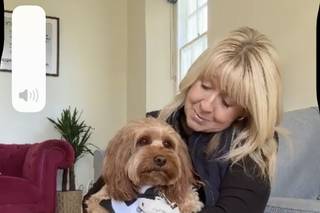 A Pad 4 Paws - Dog Chaperoning - 8