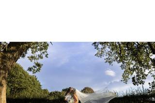 M-PRINT Digital Imagery - 8