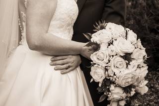 Corona Photographic - 14