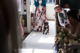 Sue's Dog Walking and Pet Care Ltd - 7