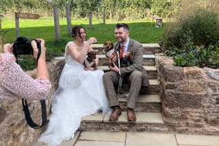 Hannah's Wedding Dog Chaperone - 7