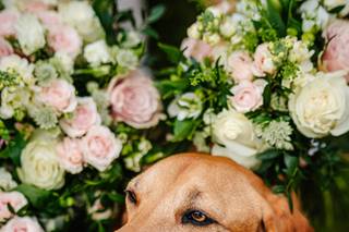 Chris Milner Photography - 16