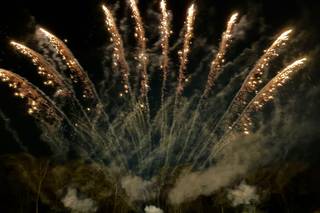 Pyrotastic Fireworks - 6