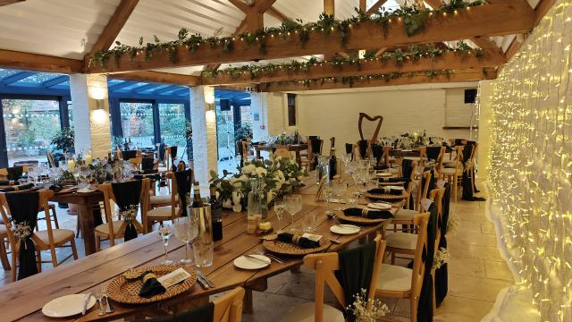 Christine Palethorpe (Nottingham Harpist) - 1