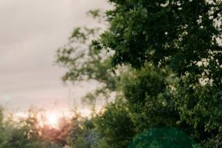 Mira Sava Photography - 5