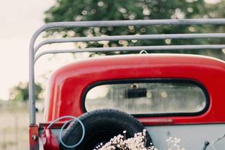 Mira Sava Photography - 7