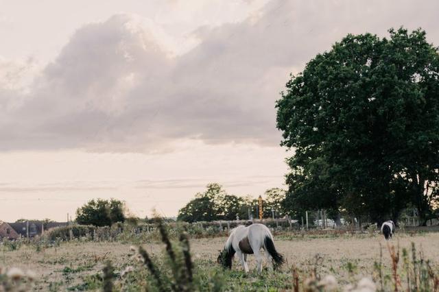Mira Sava Photography - 1