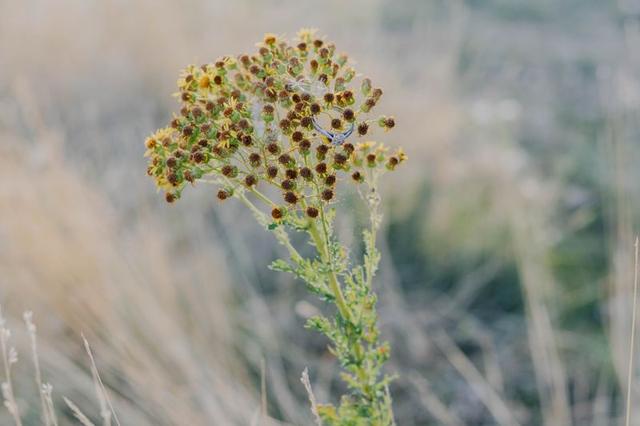 Mira Sava Photography - 4