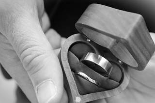 Swan Photography - 8