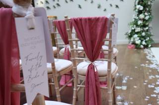 Swan Photography - 10