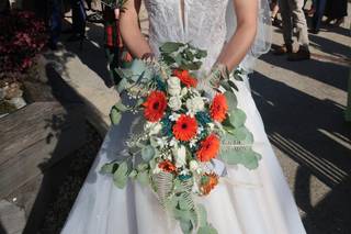 Toni Searle Beauty - 17