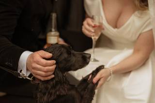 Wagging Tails Weddings - Pet Chaperone - 10