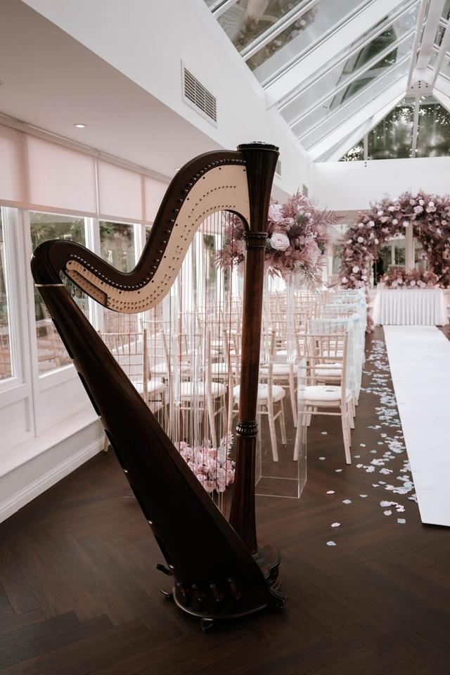 Sophie Rocks - Harpist - 2