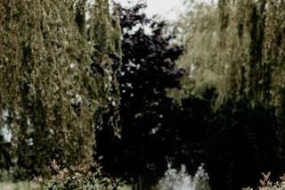 Brett James Photography - 9