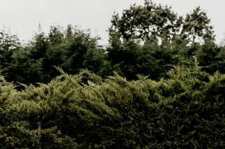 Brett James Photography - 11