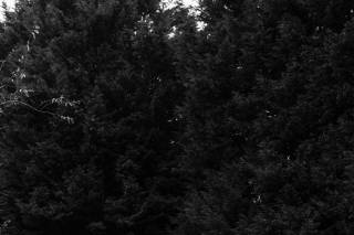 Derwent Manor Hotel - 6