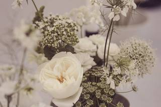 Seed & Wild - 10