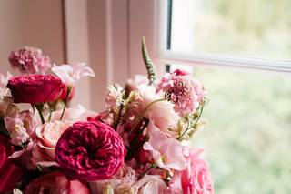 Vista & Bloom - 6