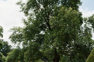 Big Little Things - 35