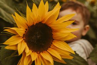 White Fox Photography - 14