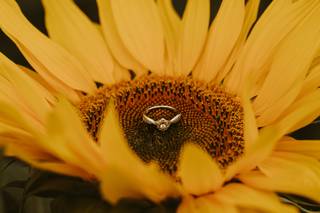 White Fox Photography - 15