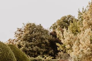 Hall Place & Gardens - 6