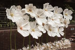 Paperpoms UK - 6