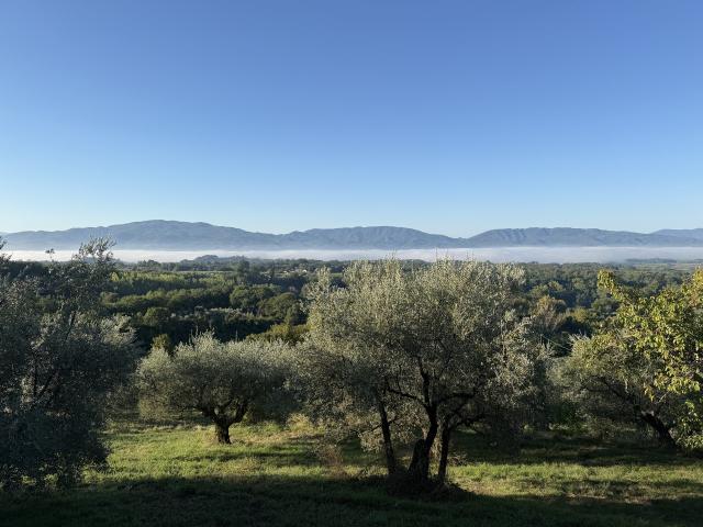 Il Poggio alle Ville - 4
