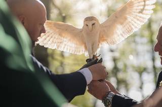 Barn Owl Ring Bearer - 8