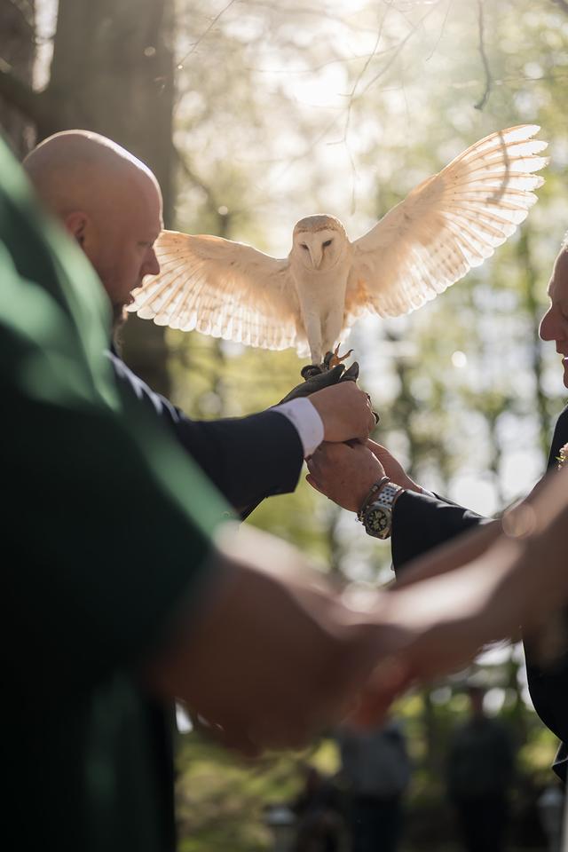 Barn Owl Ring Bearer - 2